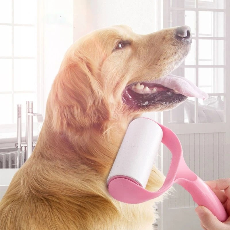 brosse-anti-poil-chien